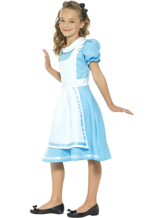 Wonderland Princess Costume Blue Dress with Apron