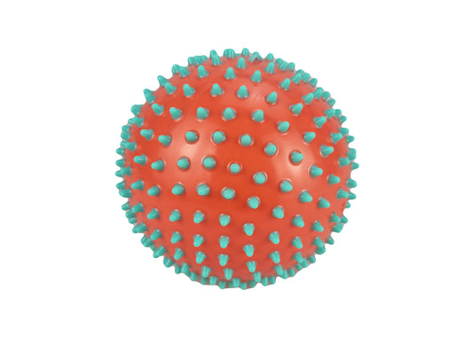 Spiky Sensory Ball | Colorful Tactile Set for Active Play