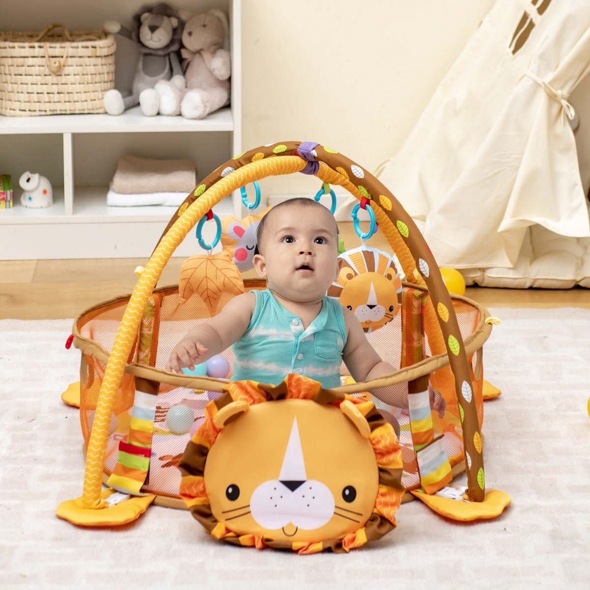 Buy the Ultimate 4-in-1 Baby Play Gym for Joyful Learning