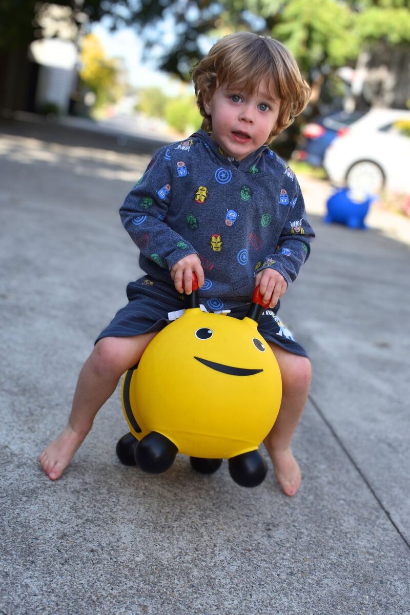 Explore Fun with Buzzy The Bee Ride-On Toy