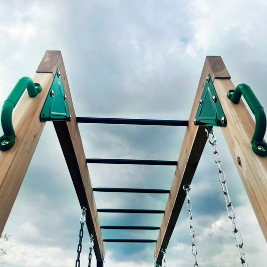 Experience Fun: Daintree 2-in-1 Monkey Bars & Swing Set | Shop Now