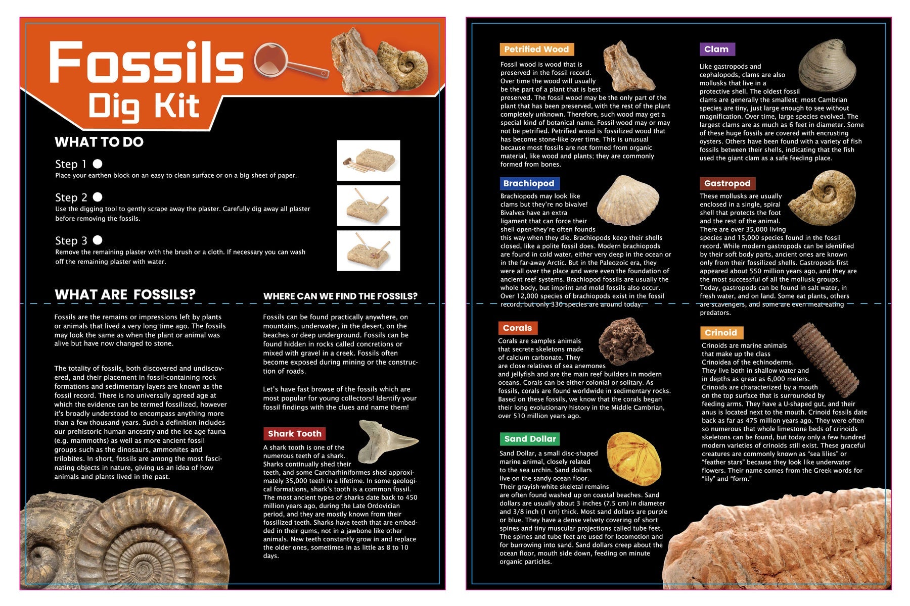 Dig & Discover Fossils Dig Kit - Kids Mega Mart