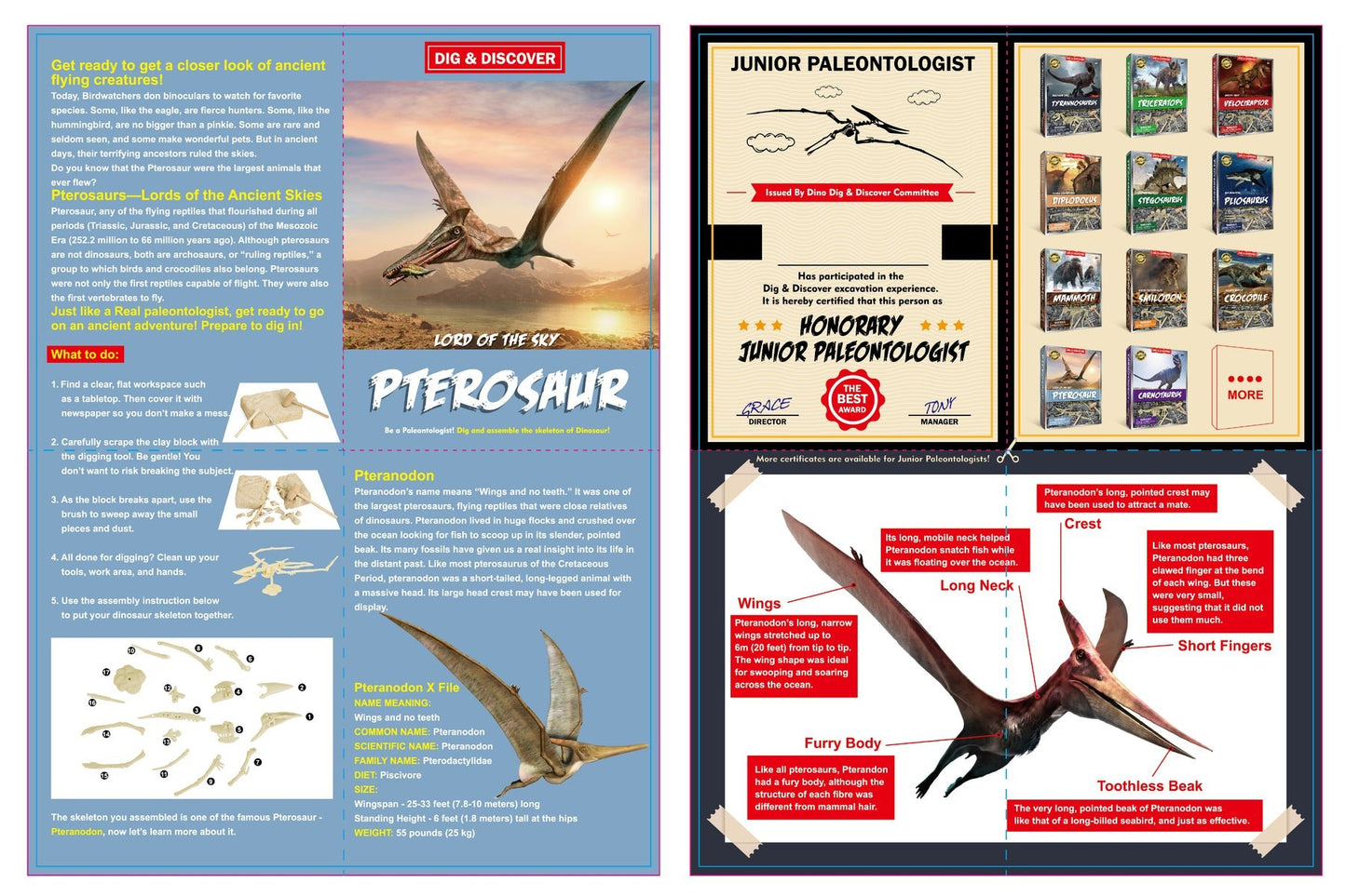 Assemble Your Own Pterosaur Assemble Your Own Pterosaur