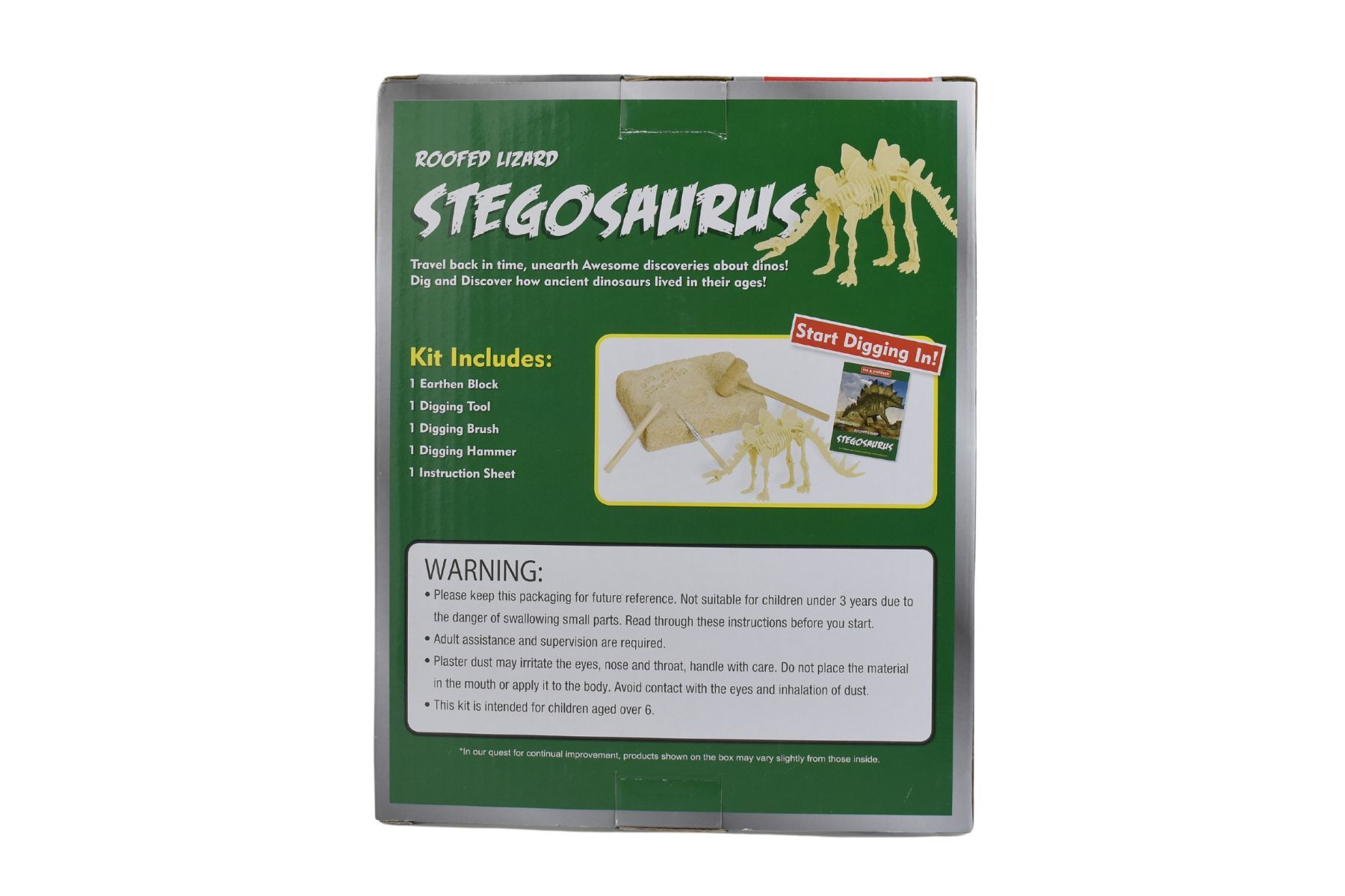 Stegosaurus Fossil Discovery for Kids