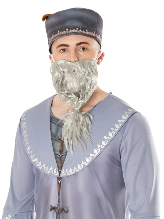 Adult Harry Potter Dumbledore wizard robe costume. Perfect for magical playtime at childrens parties.