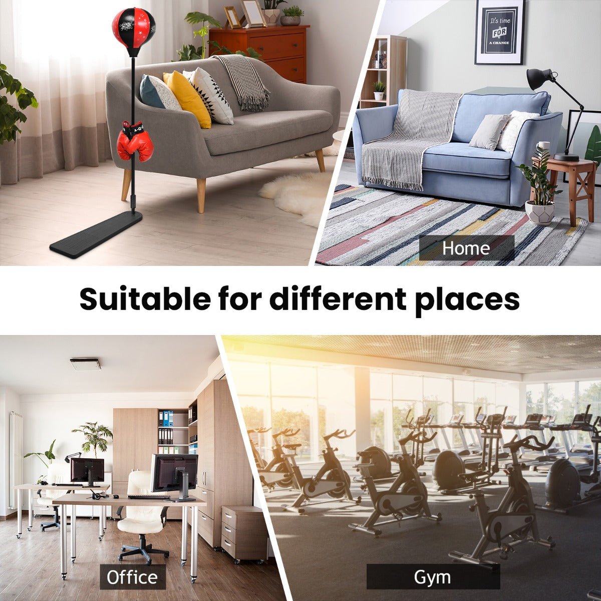 Step into the Boxing Ring of Fun! Step into the Boxing Ring of Fun!