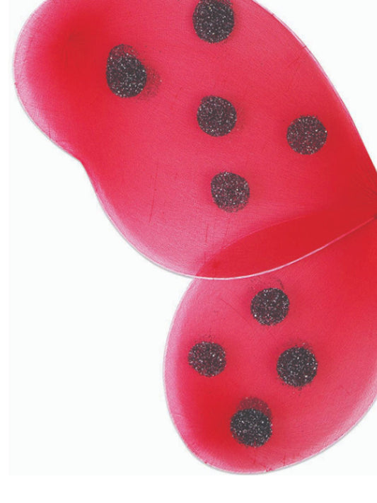 Kids ladybug wings set - perfect costume accessory for imaginative dress-up play at home.