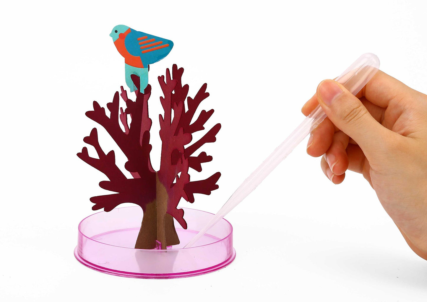 Magical Sakura Tree toy for kids home decor and interactive growth experience. Magical Sakura Tree toy for kids home decor and interactive growth experience.