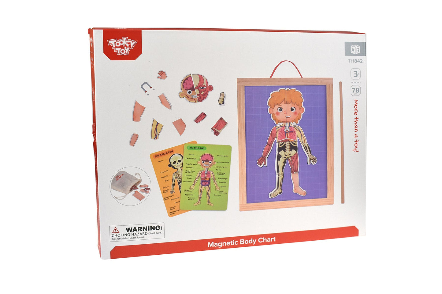 Colorful magnetic body chart educational toy for childrens anatomy learning at home. Colorful magnetic body chart educational toy for childrens anatomy learning at home.