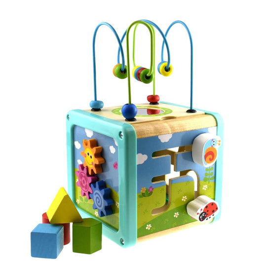 Educational Wooden Play Cube