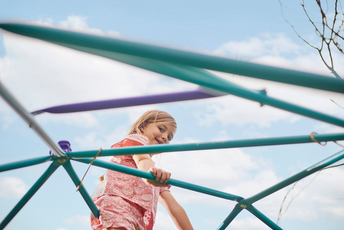 Teal and Purple Climbing Dome for Kids Outdoor Play, Metal Construction, Plum Phobos Design