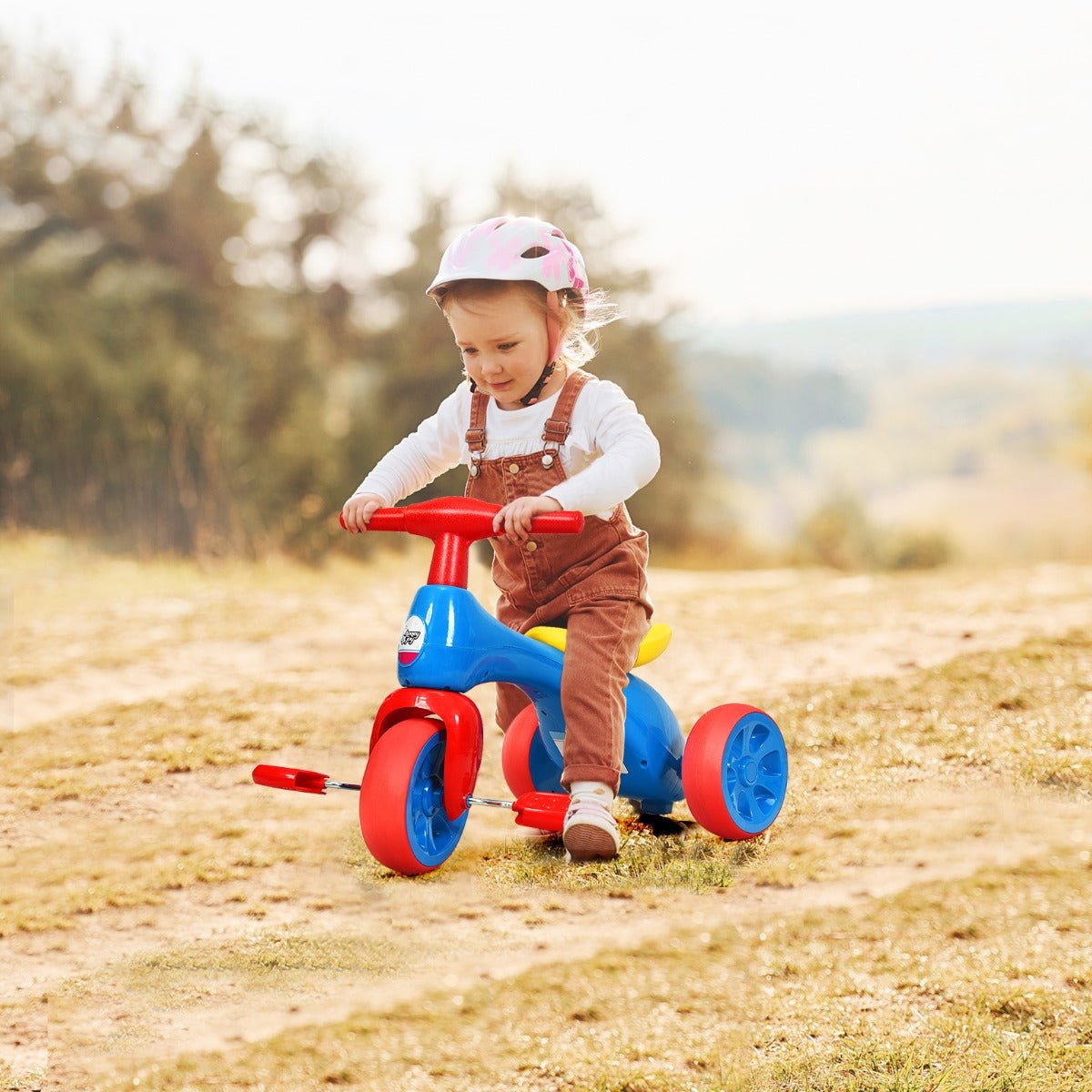 Toddler's Ride: Blue Tricycle with Foot Pedals for Outdoor Exploration