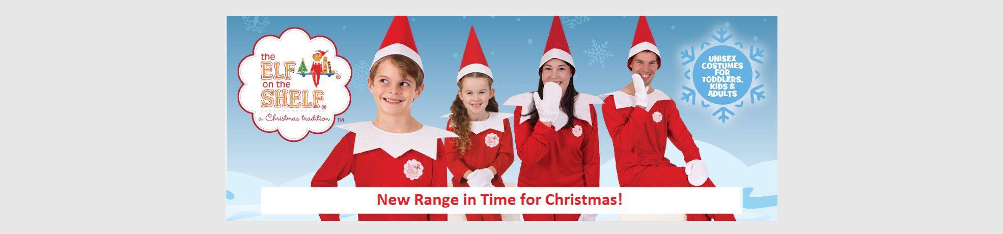 Celebrate Christmas in style with our festive Santa, Elf and Gingerbread Man costumes.