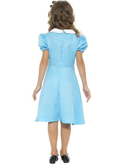 Wonderland Princess Costume Blue Dress with Apron