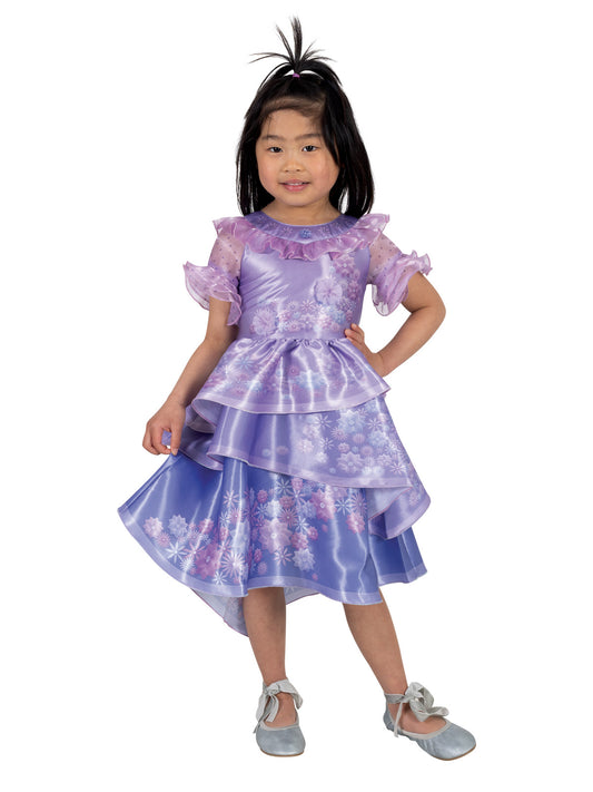 Isabela Deluxe Disney Encanto Costume for Toddlers - home-ideal licensed dress for imaginative play.