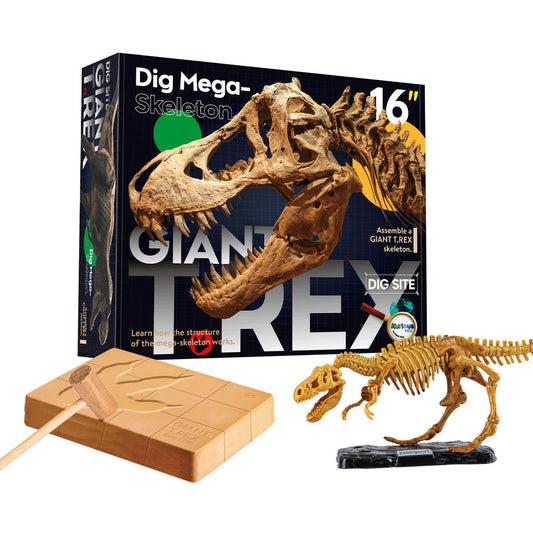 Giant T Rex Excavation Kit for kids to dig and learn about dinosaurs at home.