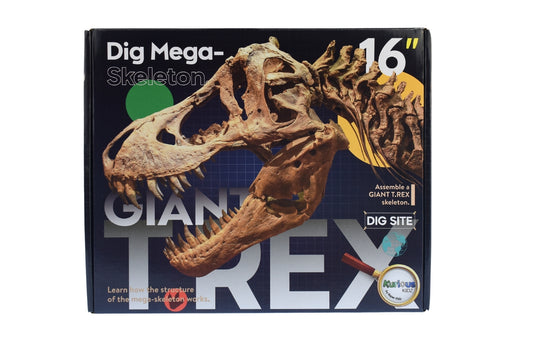 Kaper Kidz T Rex Excavation Kit | Fun dinosaur dig & learn activity for kids.