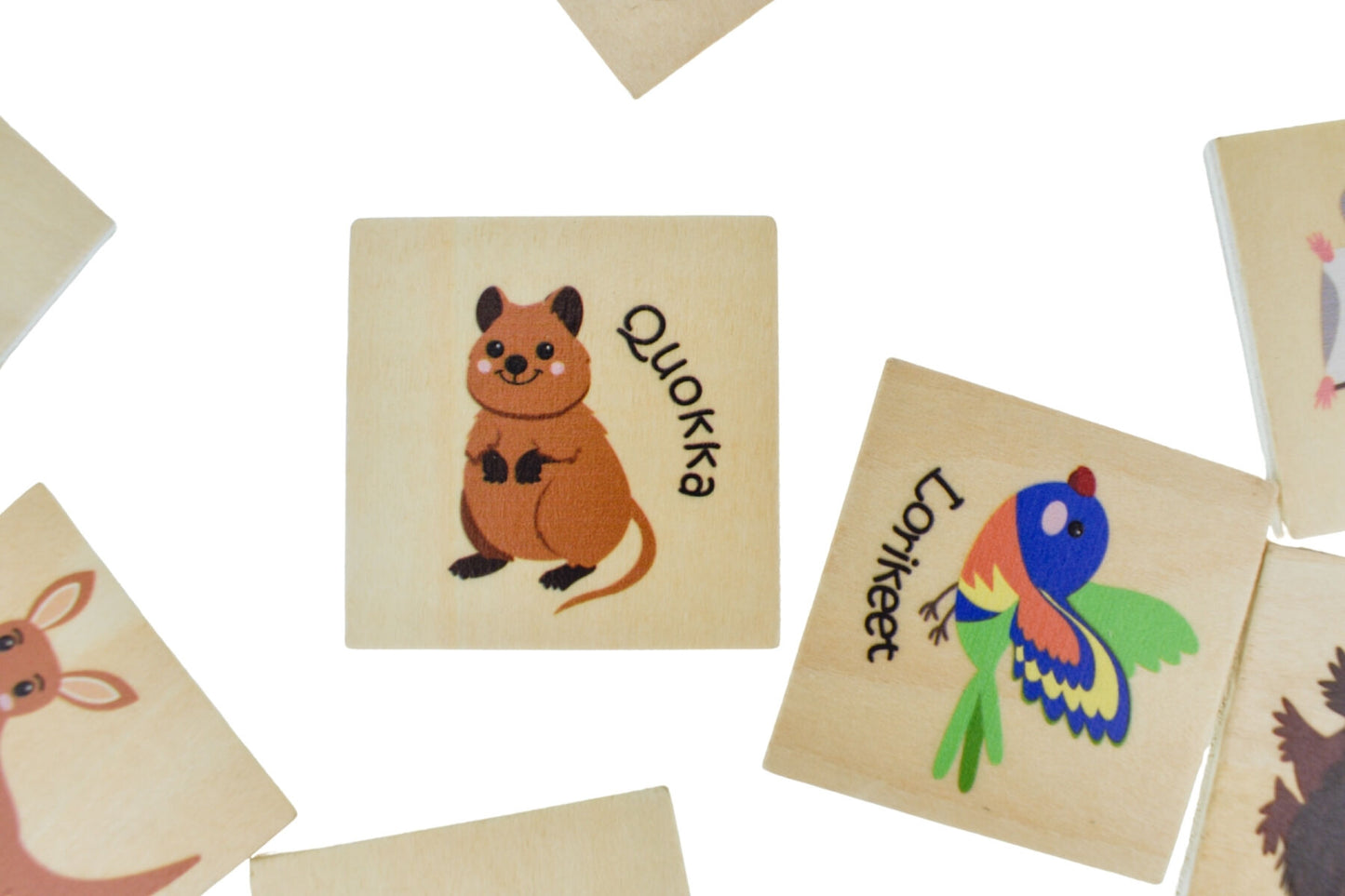 Bush Buddies Wooden Memory Game | 24 Colorful Australian Animals