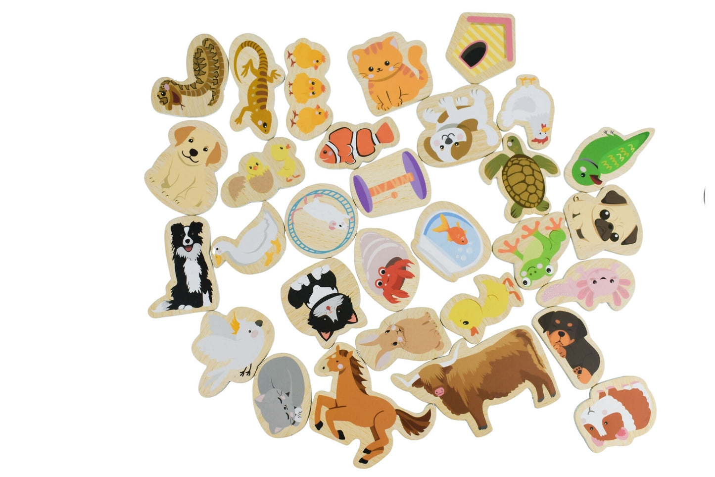 Colorful Pet Magnets 30 Pcs | Fridge Friends Animal Set