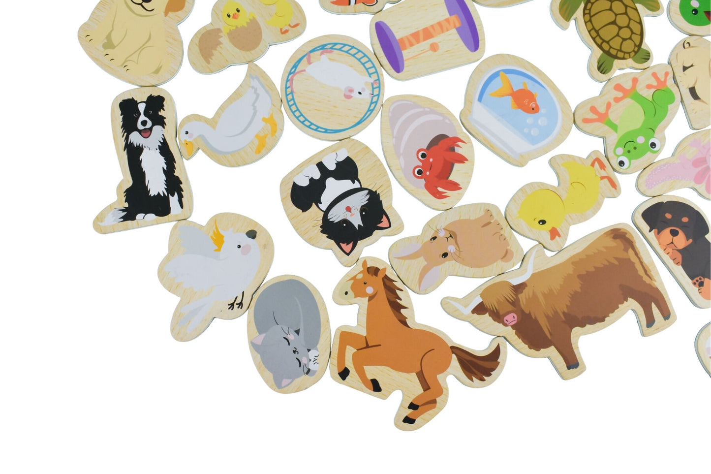 Colorful Pet Magnets 30 Pcs | Fridge Friends Animal Set