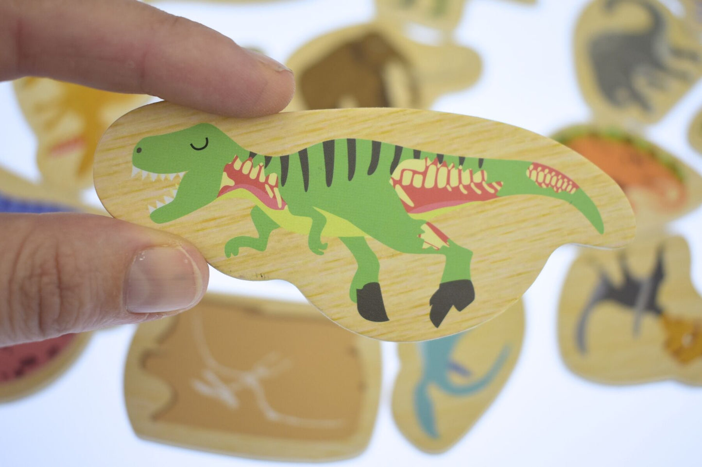 Fridge Friends Dinosaurs & Prehistoric Animals 25 Pc