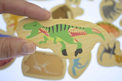 Fridge Friends Dinosaurs & Prehistoric Animals 25 Pc