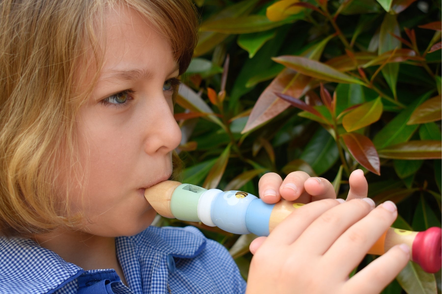 Vibrant wooden piccolo recorder offers melodious tones for beginners and enthusiasts exploring music