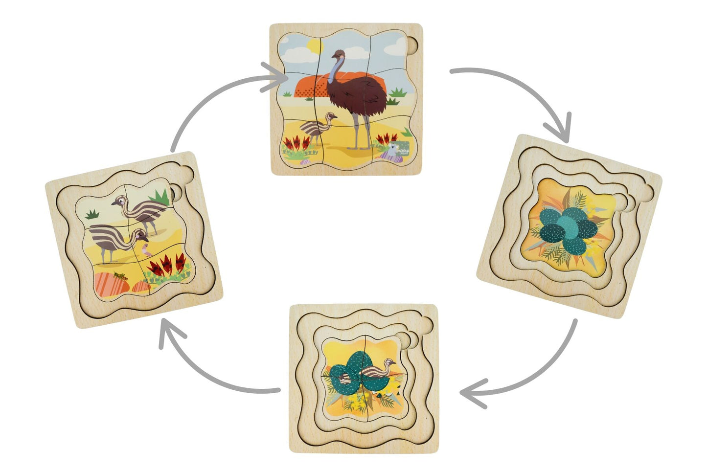 Bush Buddies Emu Life Cycle Layer Puzzle