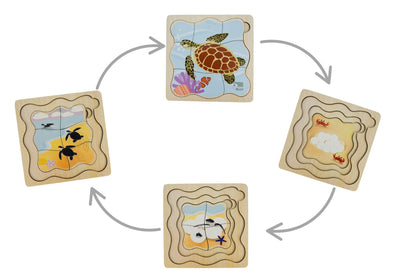 Bush Buddies Green Sea Turtle Life Cycle Layer Puzzle