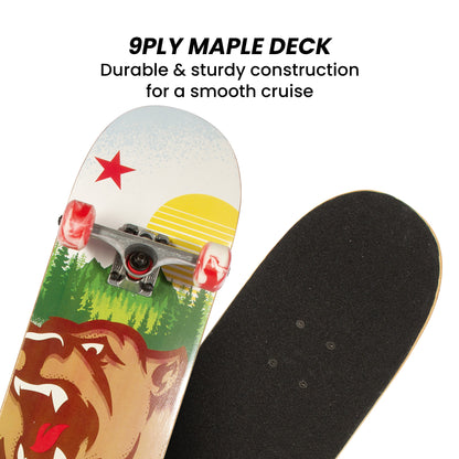 Kryptonics 31 Star Series Maple Skateboard designed for beginner skateboarders, ideal for kids at home.