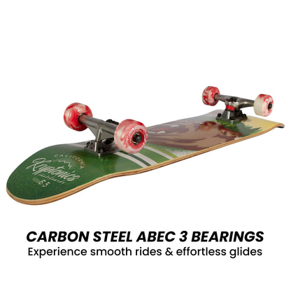 Kryptonics 31 Star Series Maple Skateboard for Beginners - Kids first skateboard for home fun.