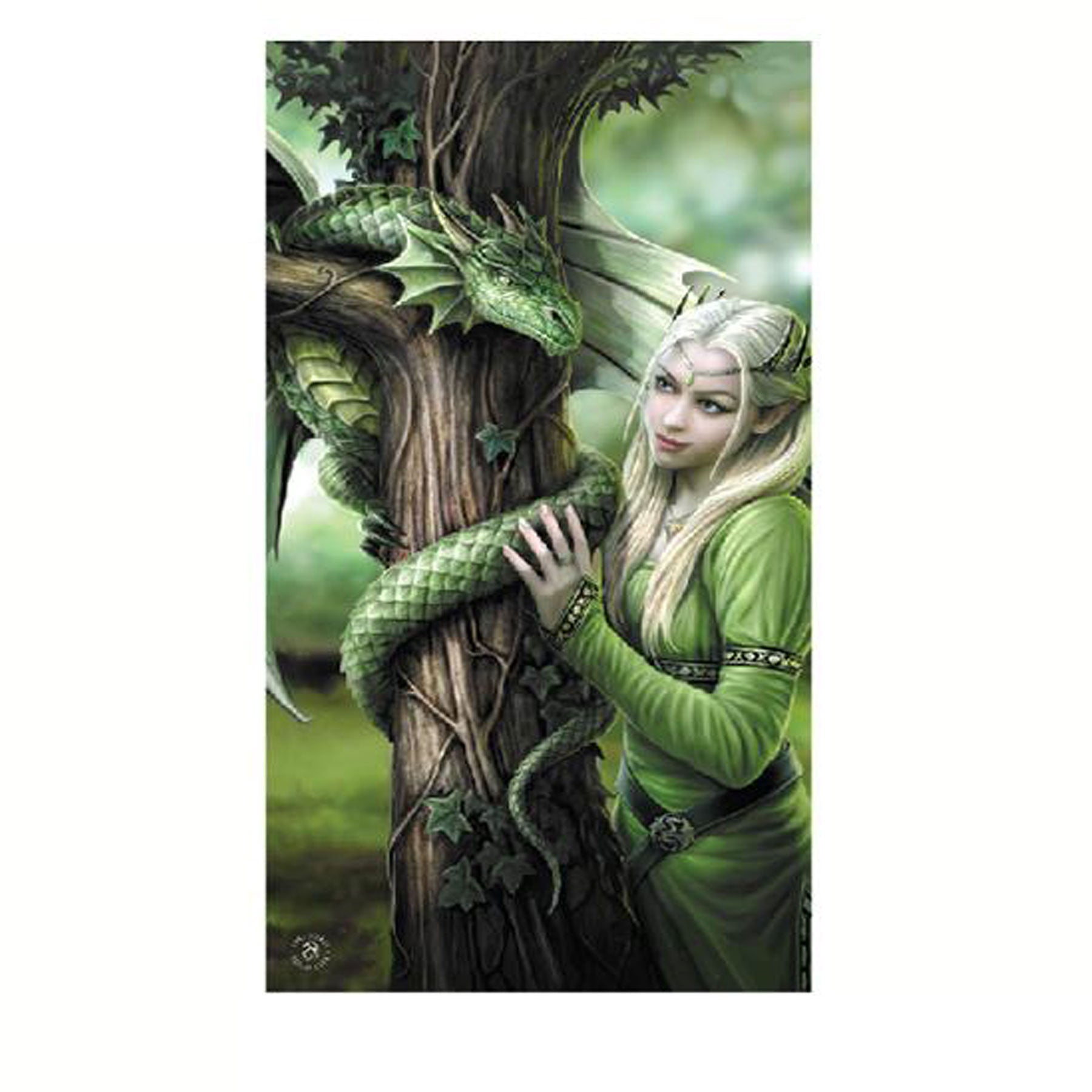 Anne Stokes Kindred Spirits cotton beach towel with magical fantasy design for kids.