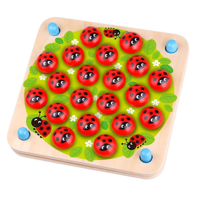 Colorful lady bug memory game for kids, perfect for enhancing cognitive skills at home.