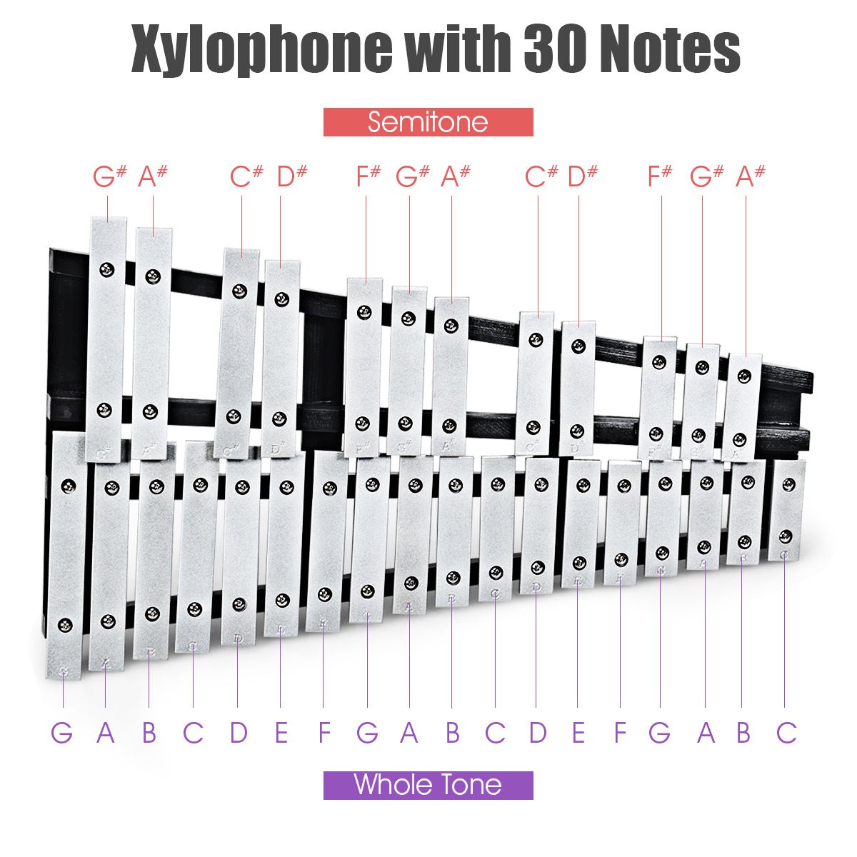 Vibrant Tunes: 30 Note Glockenspiel Xylophone with Metal Keys for Kids