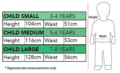 Elsa Disney Frozen 2 Limited Edition Travel Dress Costume Set for imaginative play at home