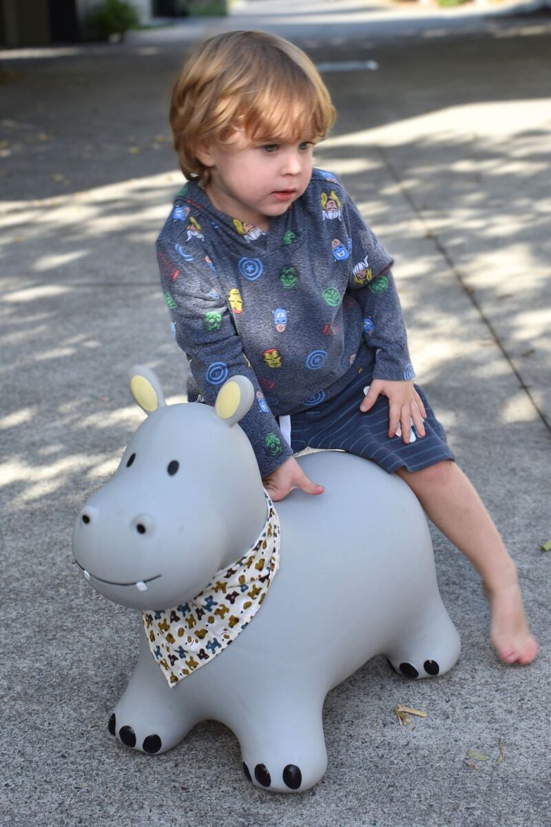 Bouncy Rider Pebbles The Hippo