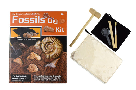 Kaper Kidz Fossil Excavation Kit | Uncover real prehistoric treasures for kids educational play.