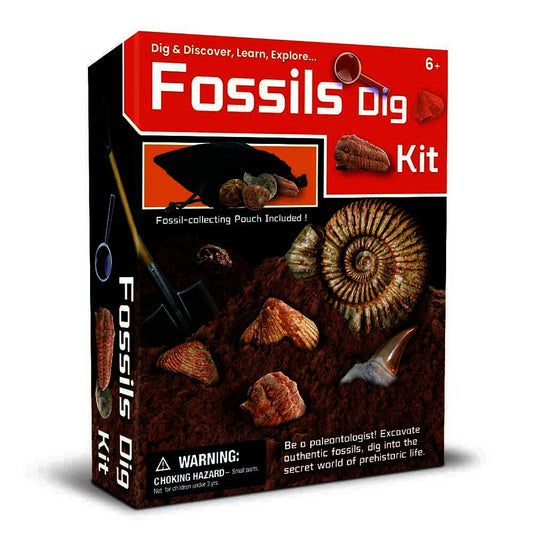 Kaper Kidz Fossil Excavation Kit | Uncover Real Prehistoric Treasures, perfect educational activity for kids.