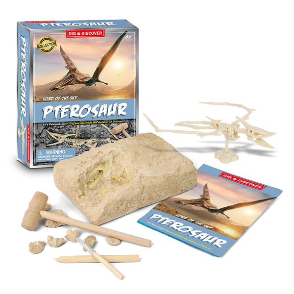 Pterosaur Excavation Adventure