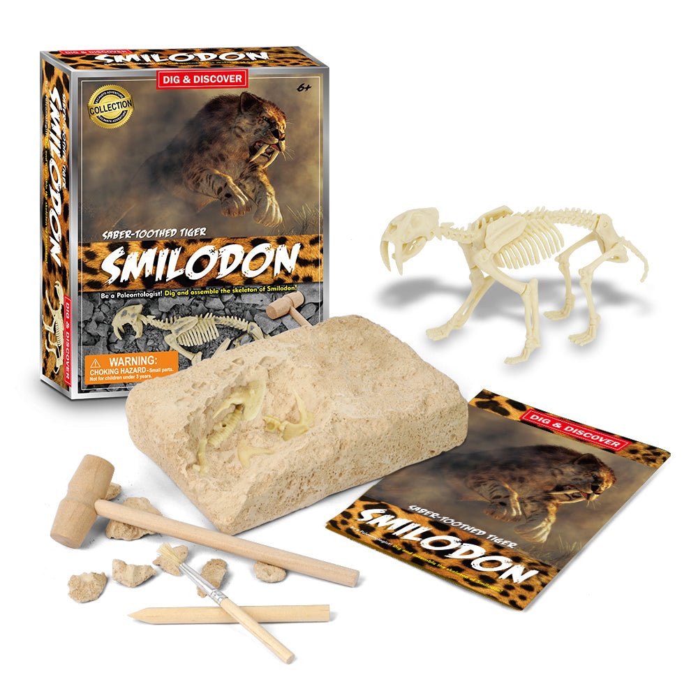 Saber-Toothed Tiger Excavation Kit