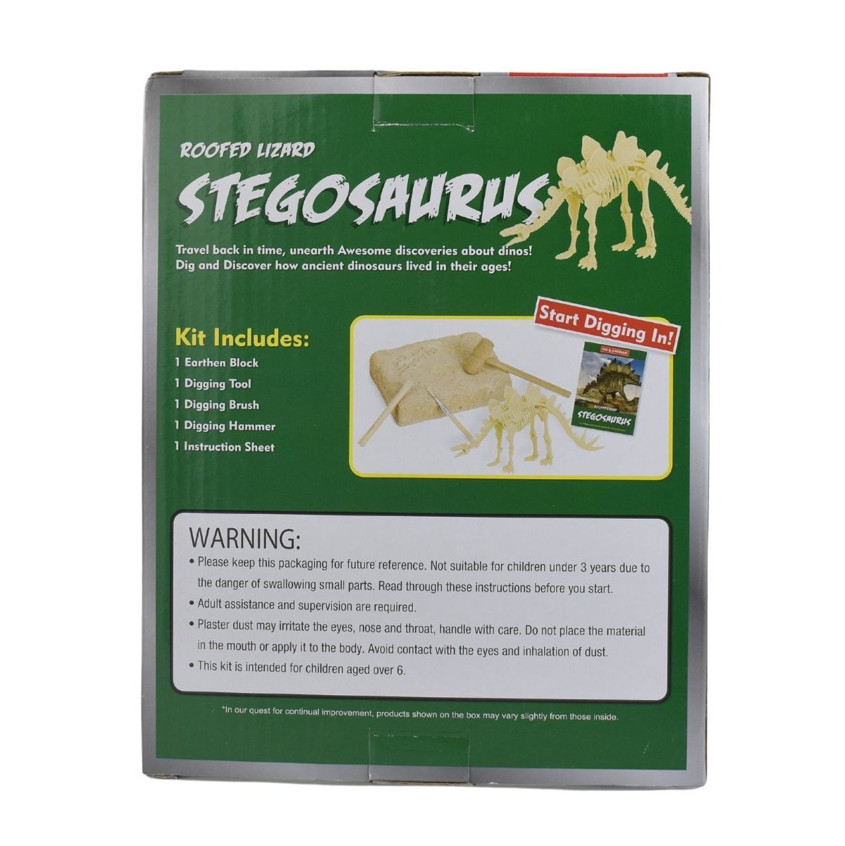 Stegosaurus Fossil Discovery for Kids