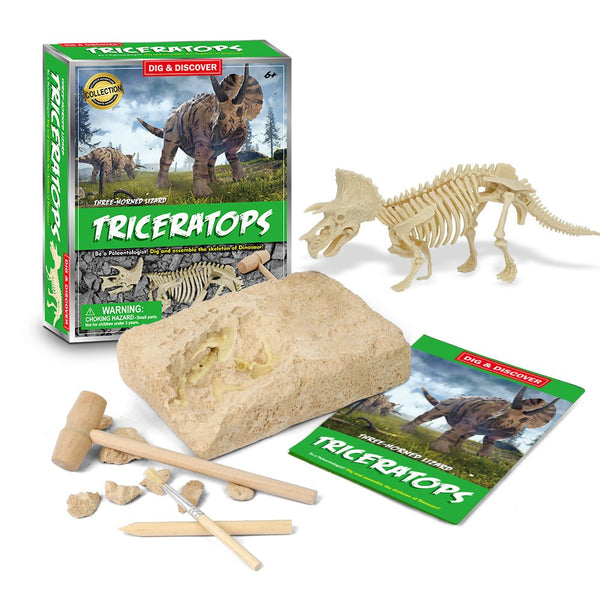 Triceratops Excavation Kit