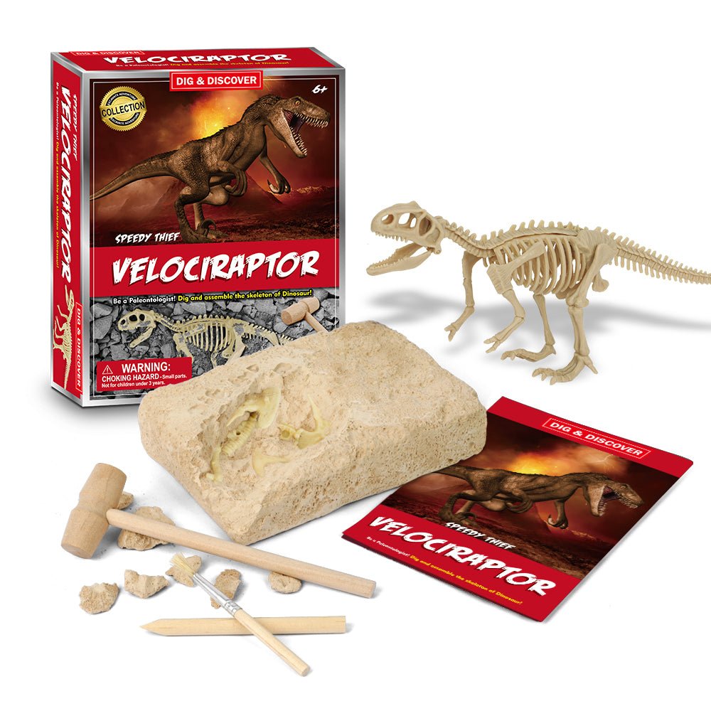 Velociraptor Excavation Adventure Kit