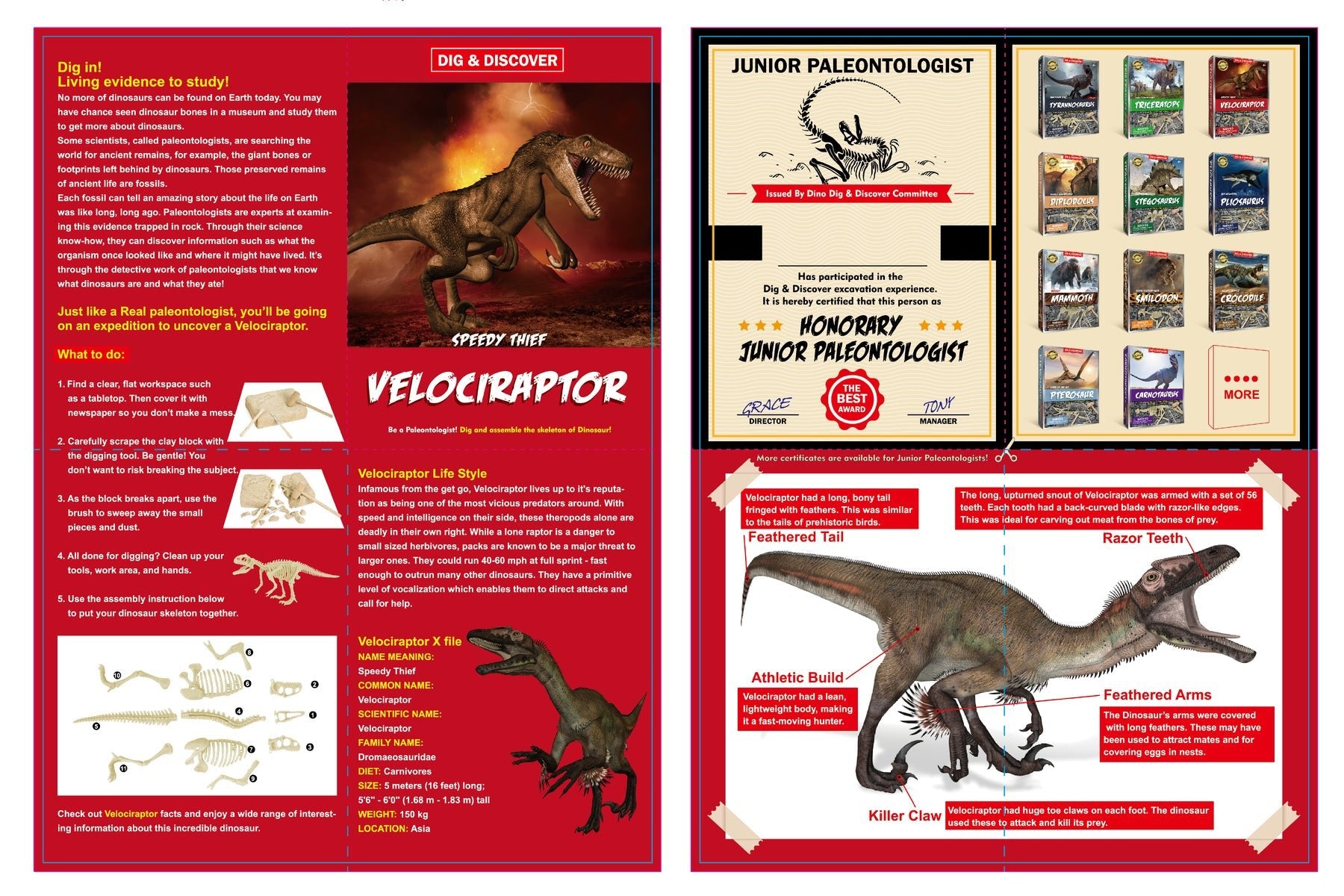 Paleontologist Starter Kit: Velociraptor