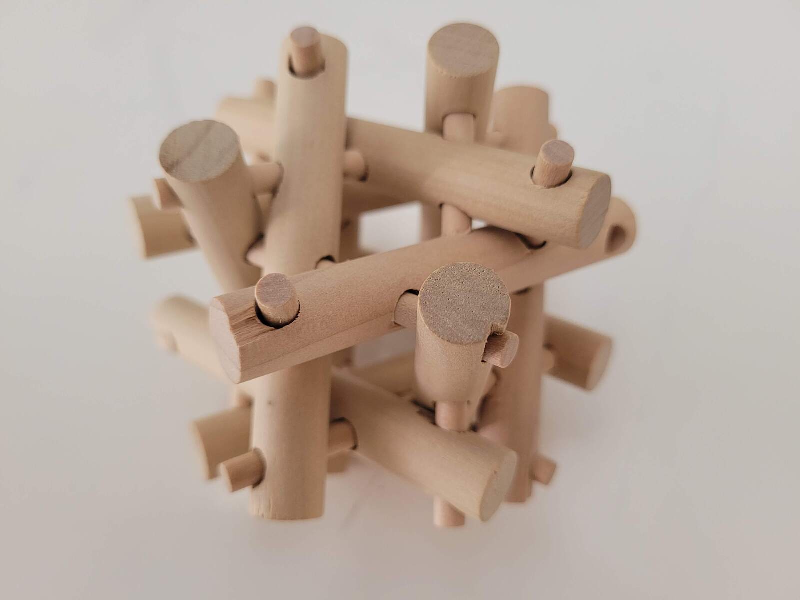 Echidna Wooden Brainteaser Puzzle