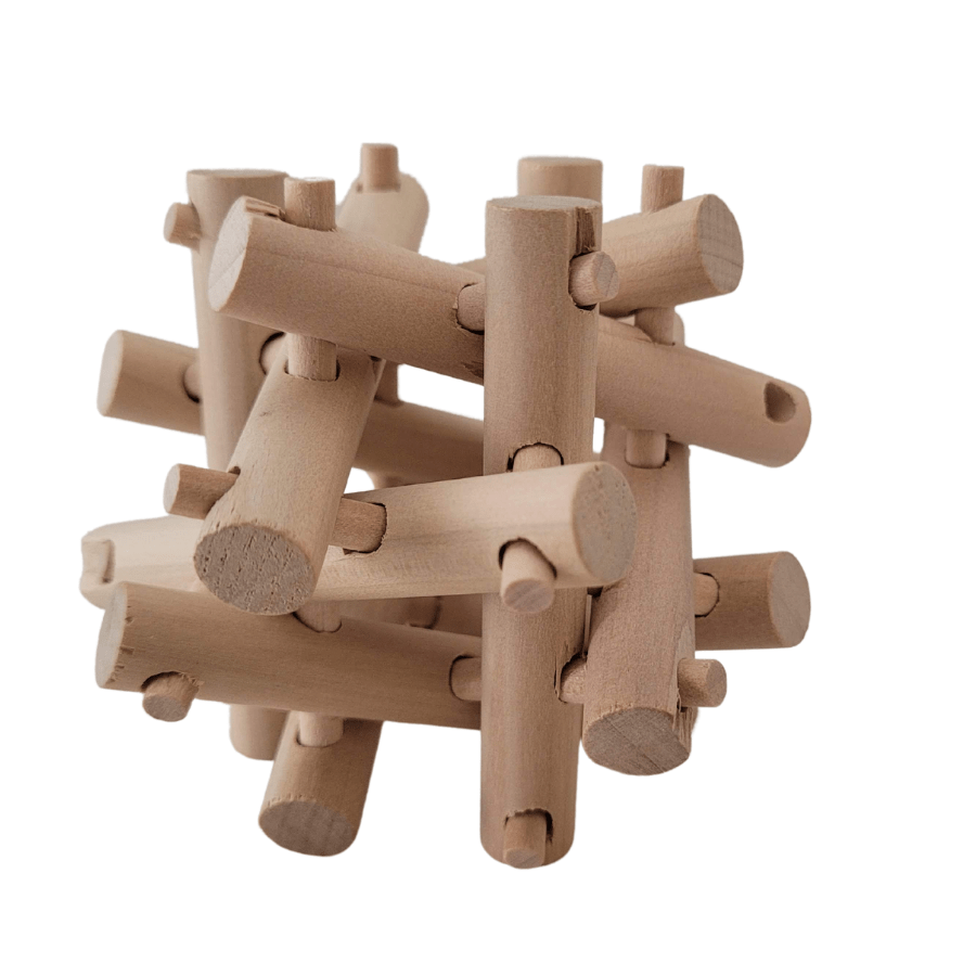Echidna Wooden Brainteaser Puzzle