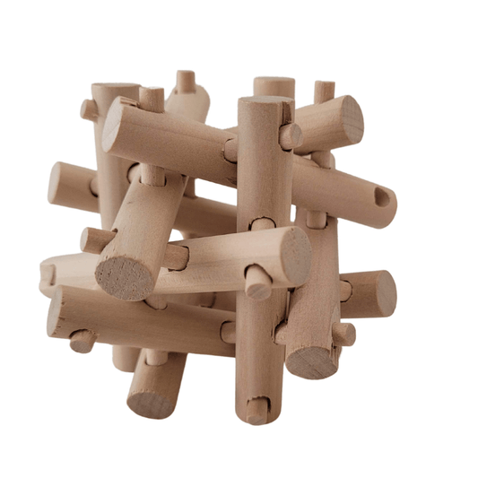 Wooden Echidna Brainteaser Puzzle for kids cognitive development and problem-solving skills at home.