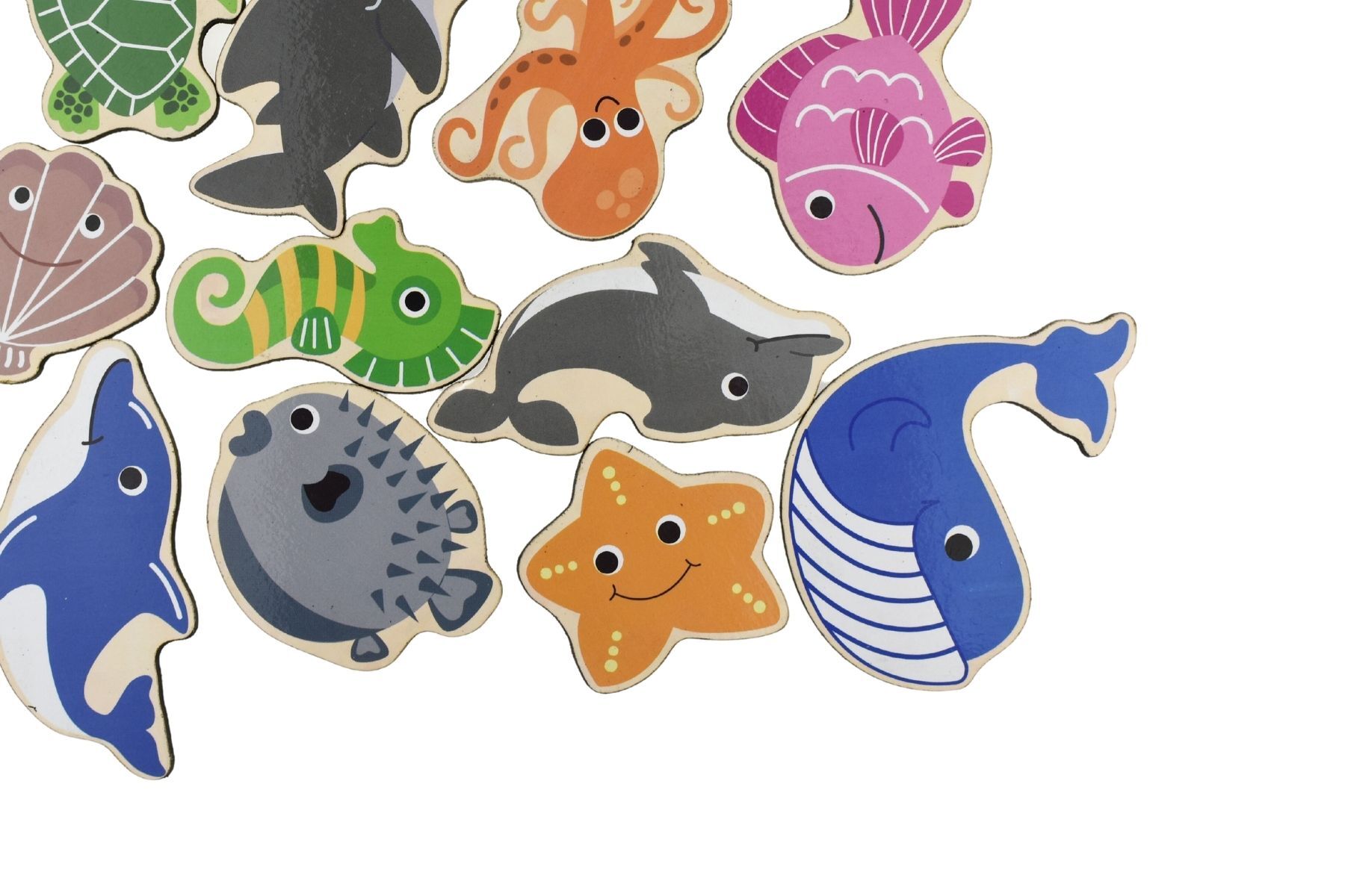 Educational Sea Creature Magnets for Kids
