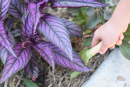 Kids Gardening Tools