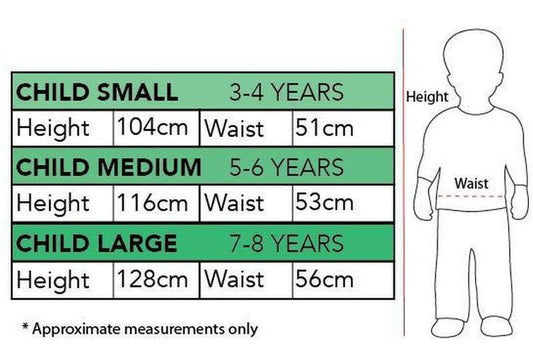 Girls Butterfly Princess Costume with Wings for imaginative play, perfect for Book Week.